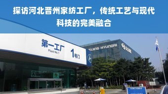 探访河北晋州家纺工厂 传统工艺与现代科技的完美融合