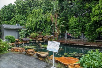 植物医生透明工厂 智能制造引领国妆自主生产新潮流，生态环境材料销售成亮点