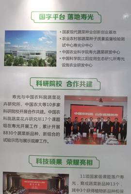 院士来了，国字号科研院所也来了——生态环境高水平保护推动经济高质量发展看潍坊见闻