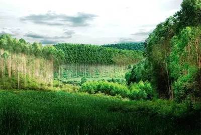 芬兰知名环保材料企业在中国市场的战略布局与前景分析