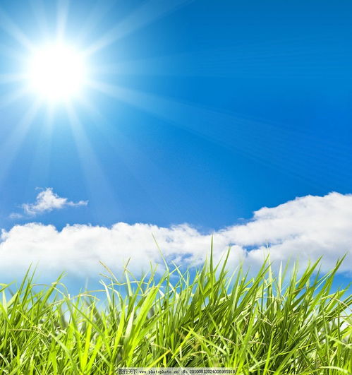 用心交流，换位思考 以完美沟通推动生态环境材料销售，共筑美好生活